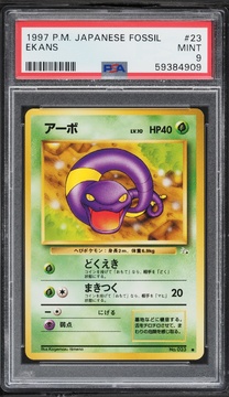 Fanatics Collect
