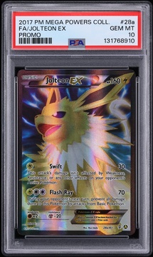 Fanatics Collect