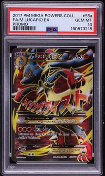 Fanatics Collect