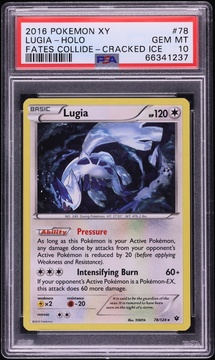 Fanatics Collect