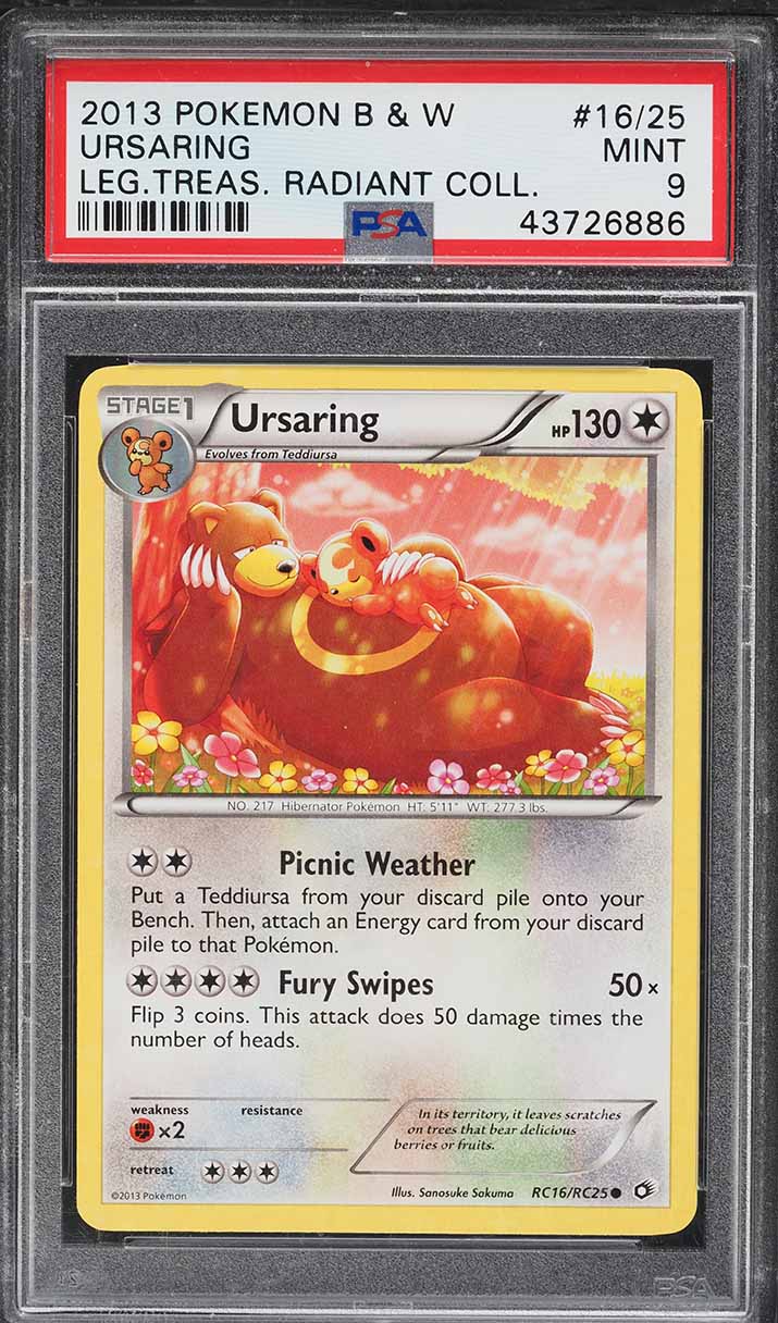 Fanatics Collect