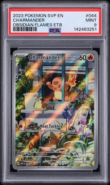 Fanatics Collect