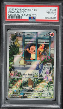 Fanatics Collect