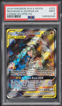 Fanatics Collect