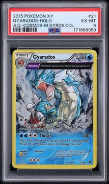 Fanatics Collect