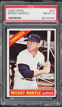 Fanatics Collect