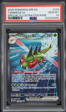 Fanatics Collect