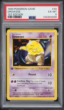 Fanatics Collect