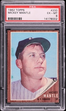 Fanatics Collect