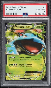 Fanatics Collect