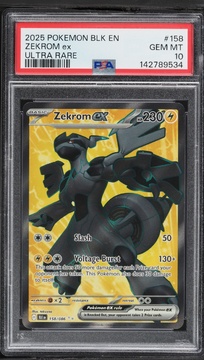 Fanatics Collect