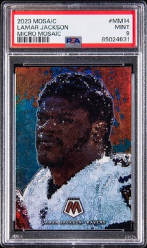 Goldin Auctions