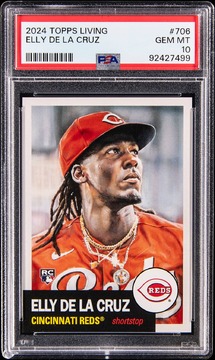 Goldin Auctions