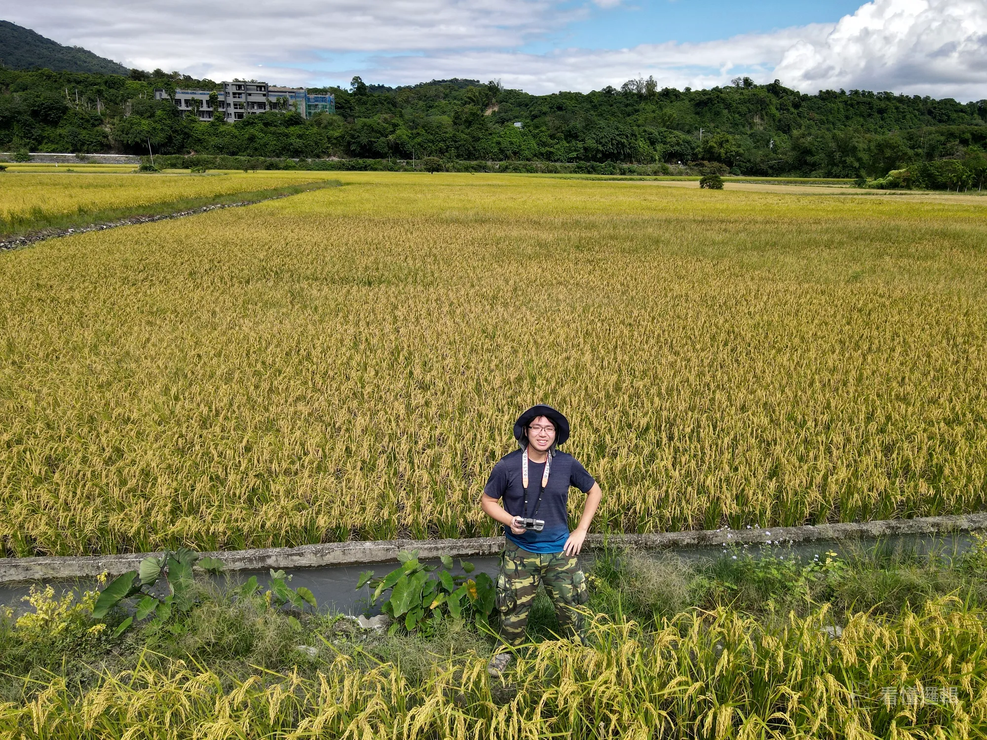 田間試驗