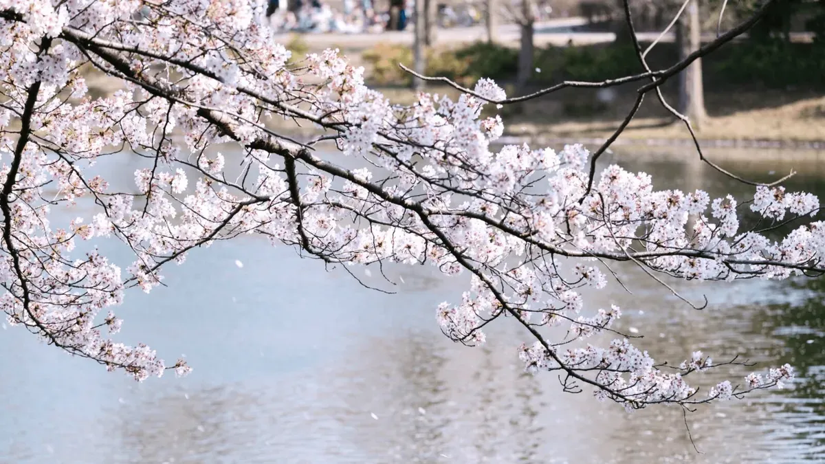 春風