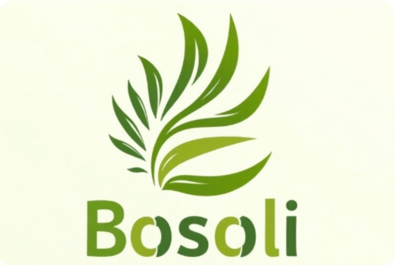 BOSOLI