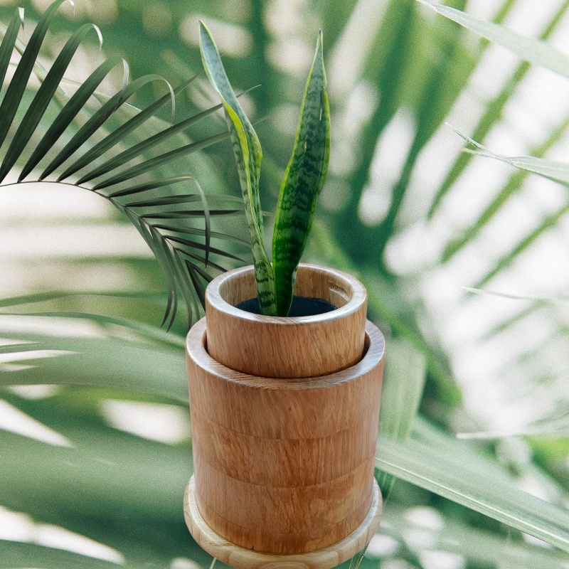 Ecoa - Macetas expandibles 