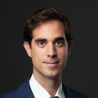 Pietro  Viggiani d'Avalos, Project Leader at BCG