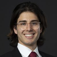 Mattia Gallese, Consultant