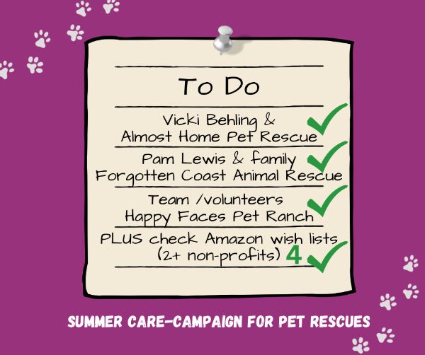 Pet Rescue - Summer 2023
