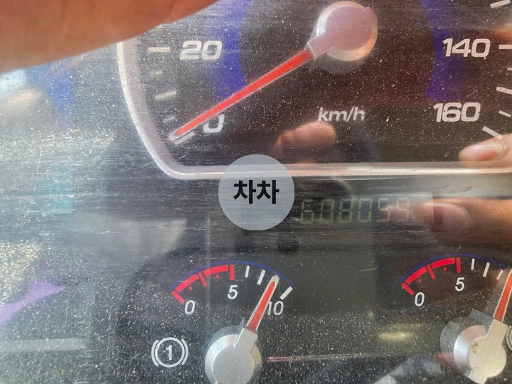 2019년 노부스 8.5톤 투냉 후축 냉장탑 8.5톤 냉장탑 중고화물차
