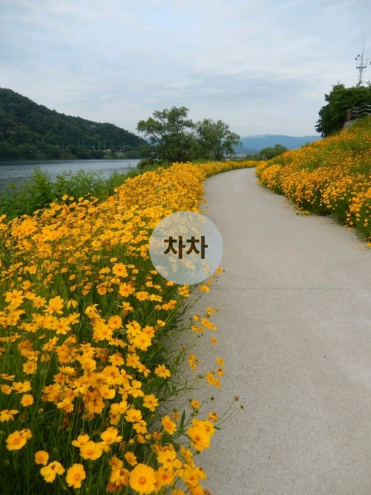 2020년 올뉴마이티 3.5톤 광폭 윙바디 3.5톤 윙바디 중고화물차