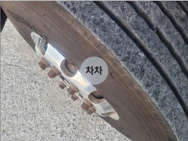 트라고 투쓰리 콘차 12