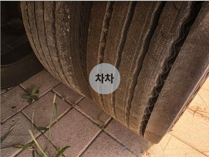 트라고 9.5톤 카고 롱바디 10
