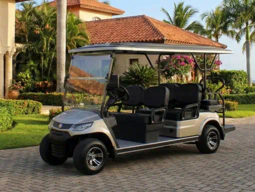 6-Passenger Golf Cart - Standard