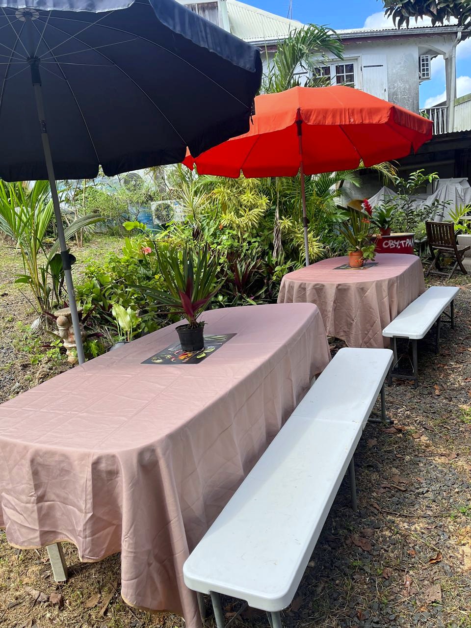 Les 5C · Le Jardin — travailler au grand air – photo 2
