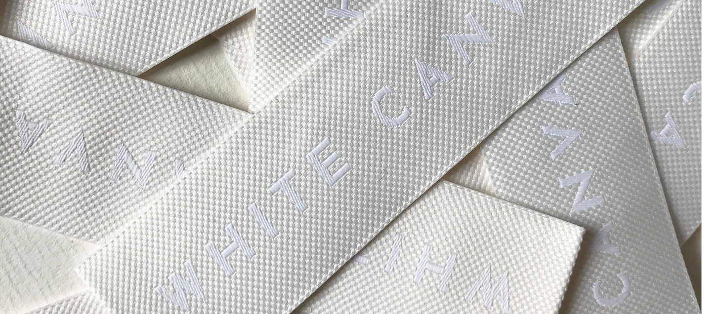 whitecanvasparis's background