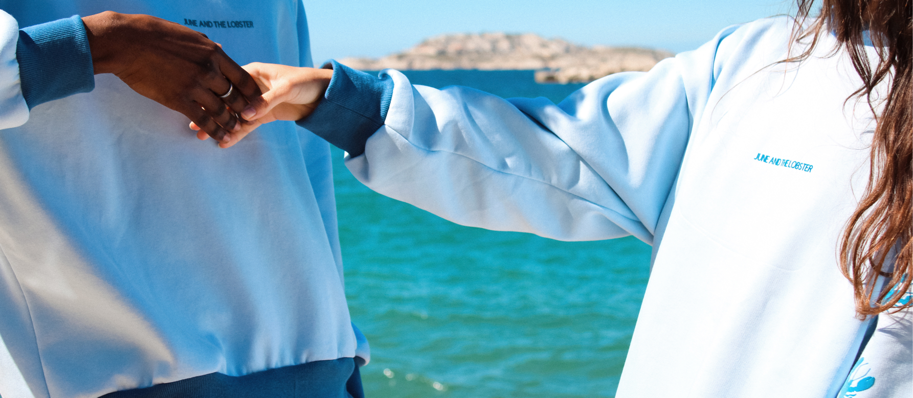 juneandthelobsters's background