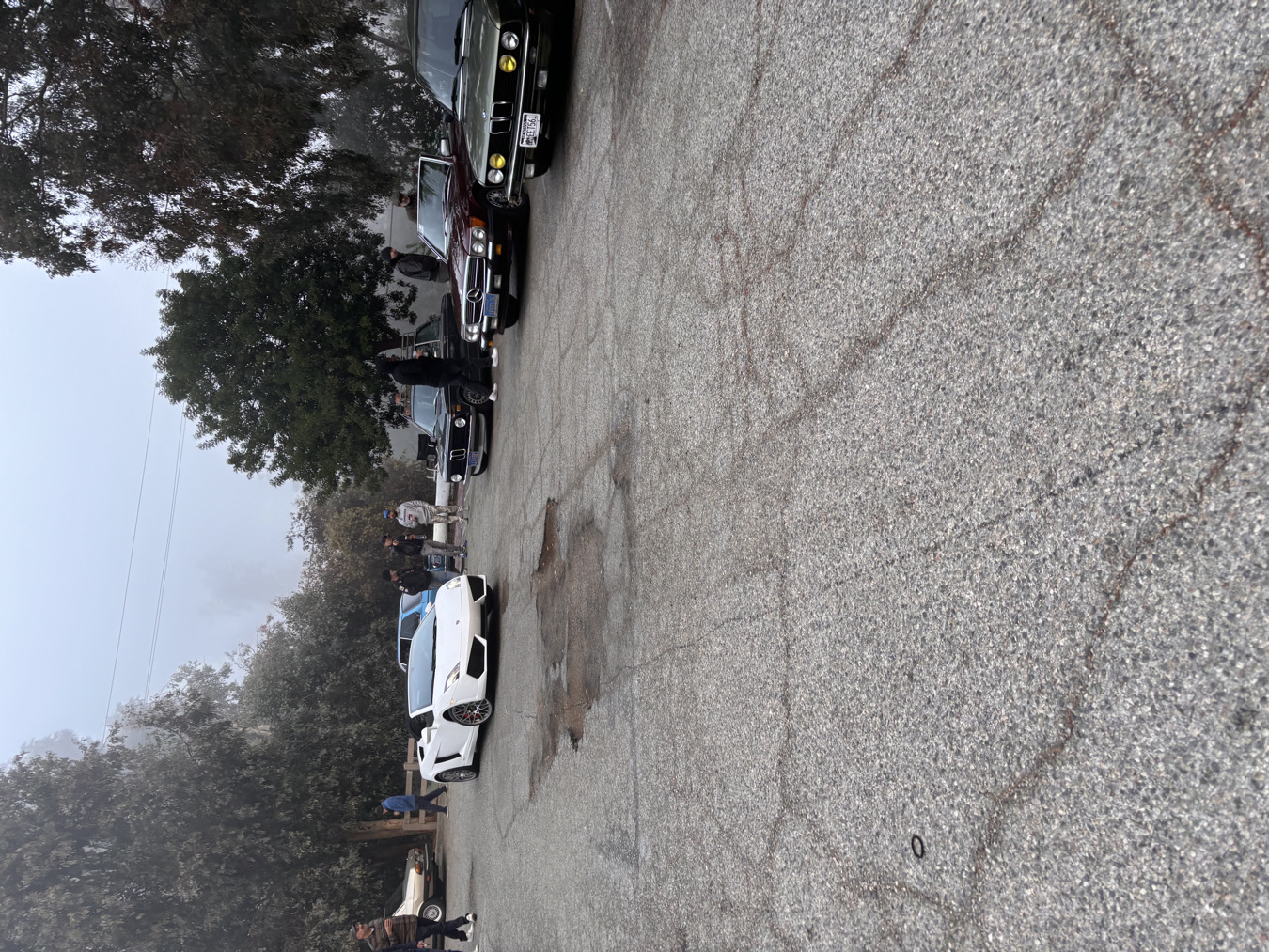 griffith Park cars and Coffee