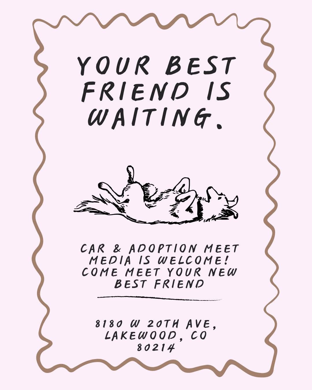 Car & Dog Adoption Meet