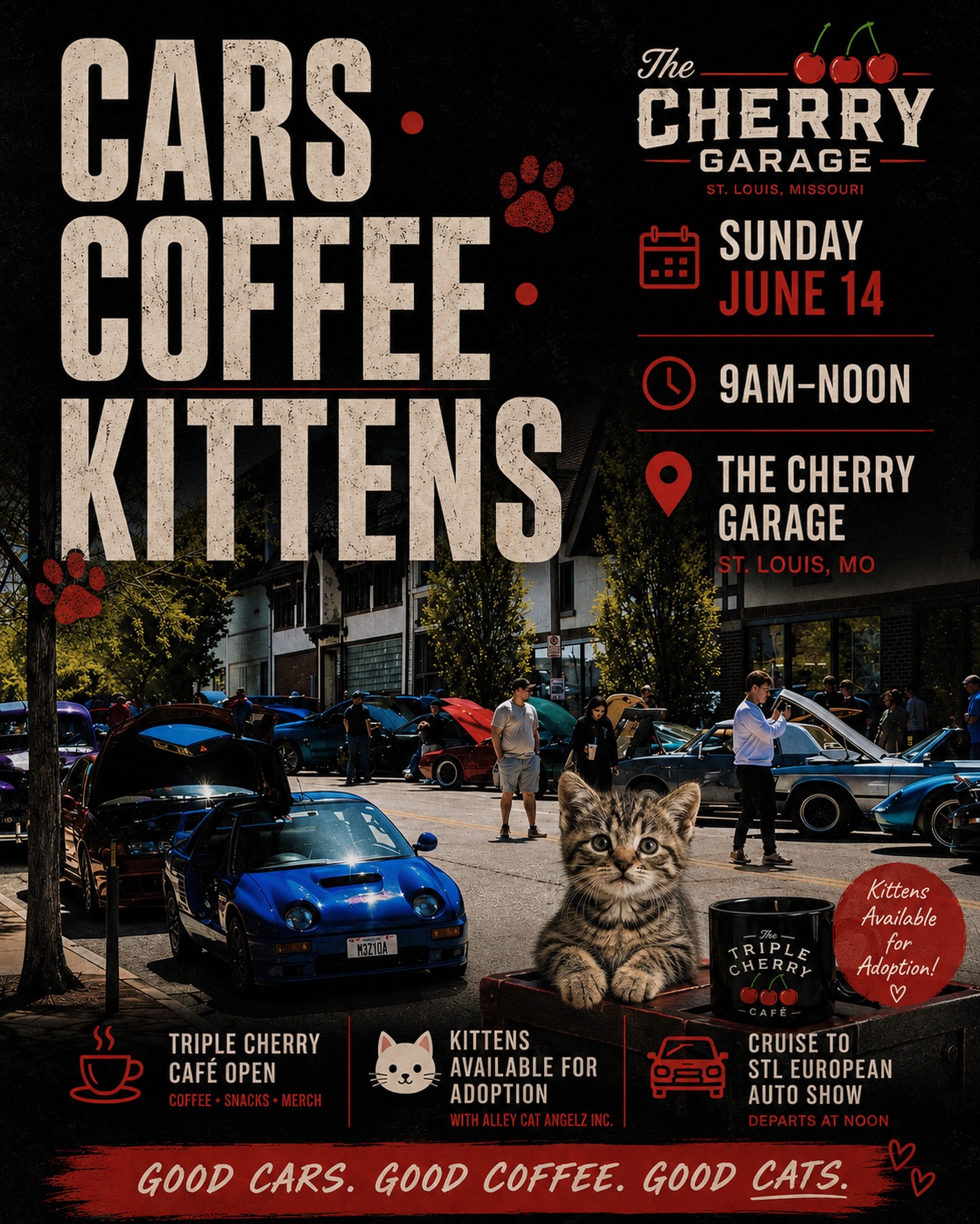 Cars, Coffee & Kittens