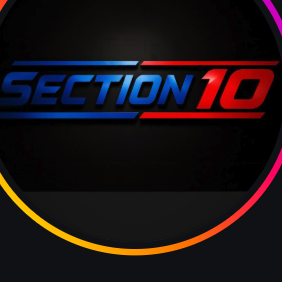 Section 10 logo