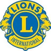 Willunga & Districts Lions Club logo