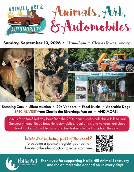 Animals, Art, & Automobiles flyer