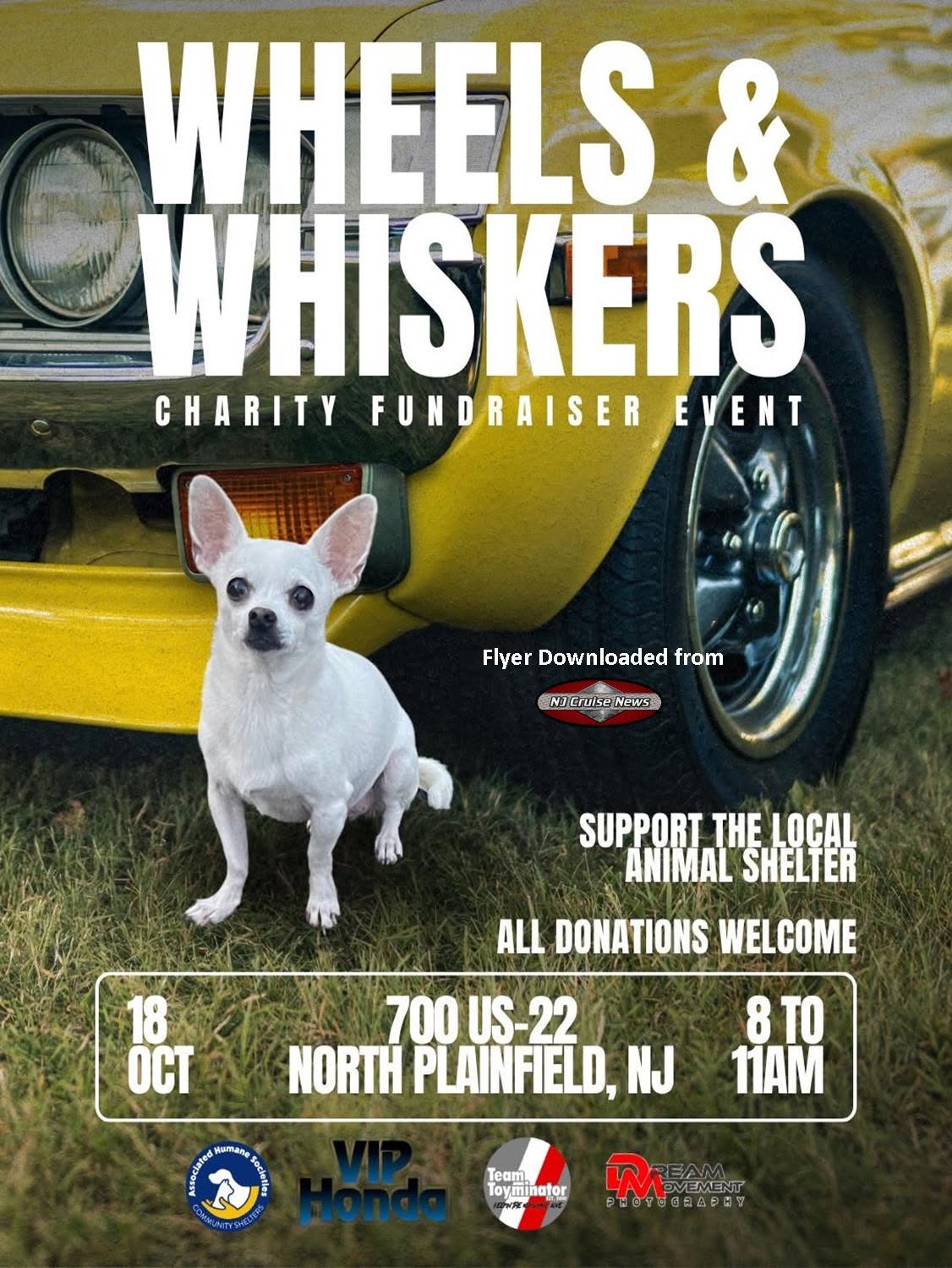Flyer for Wheels & Whiskers Charity Fundraiser Event