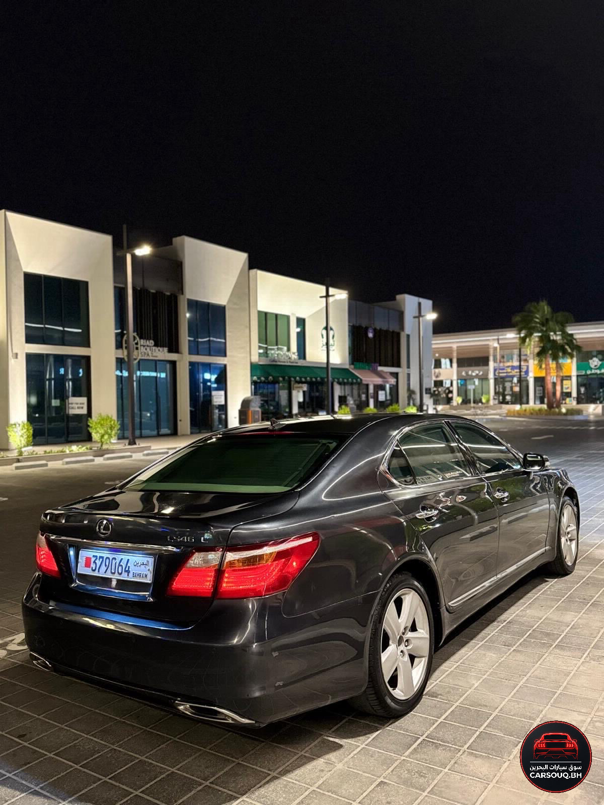 2010 Lexus LS