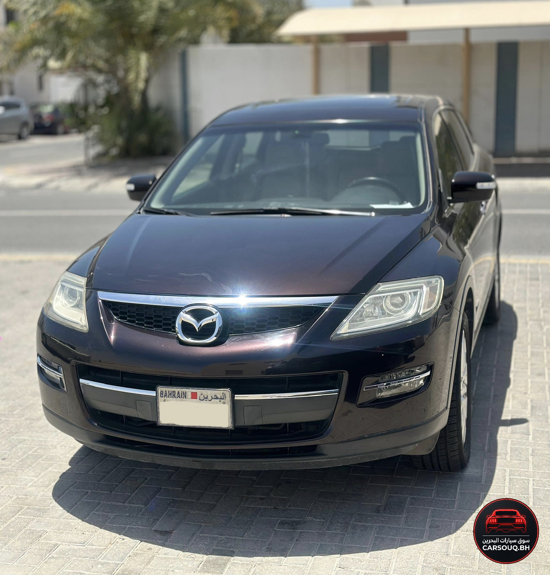 2008 Mazda CX-9