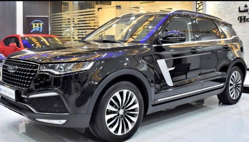 2020 Zotye T700