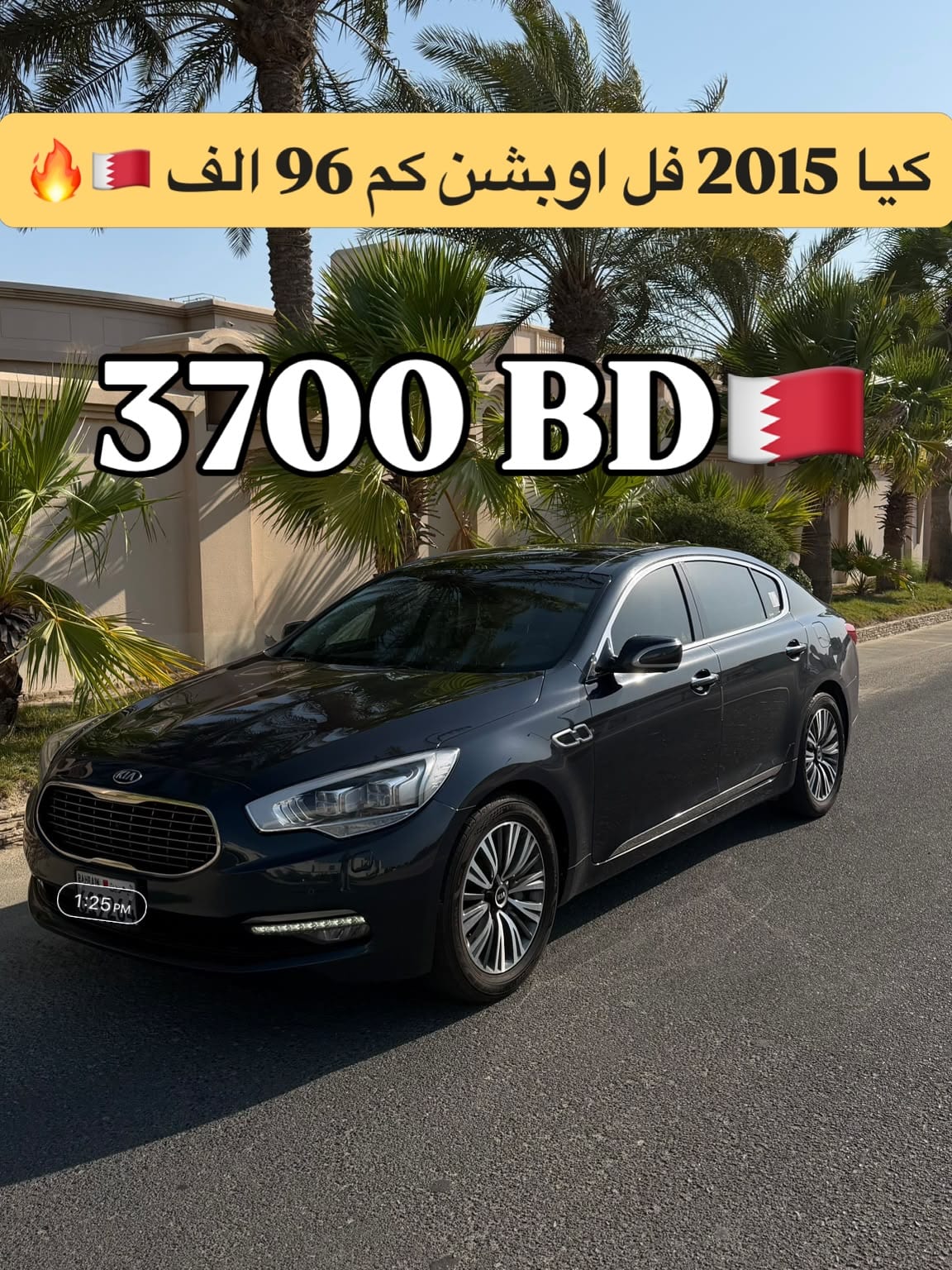 2015 Kia Quoris