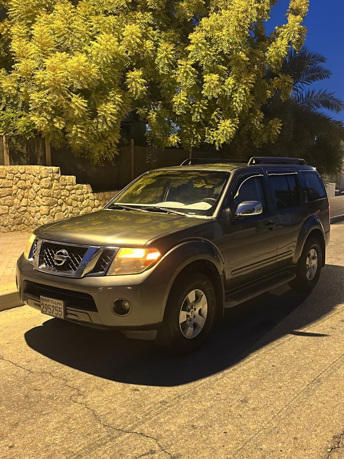 2008 Nissan Pathfinder