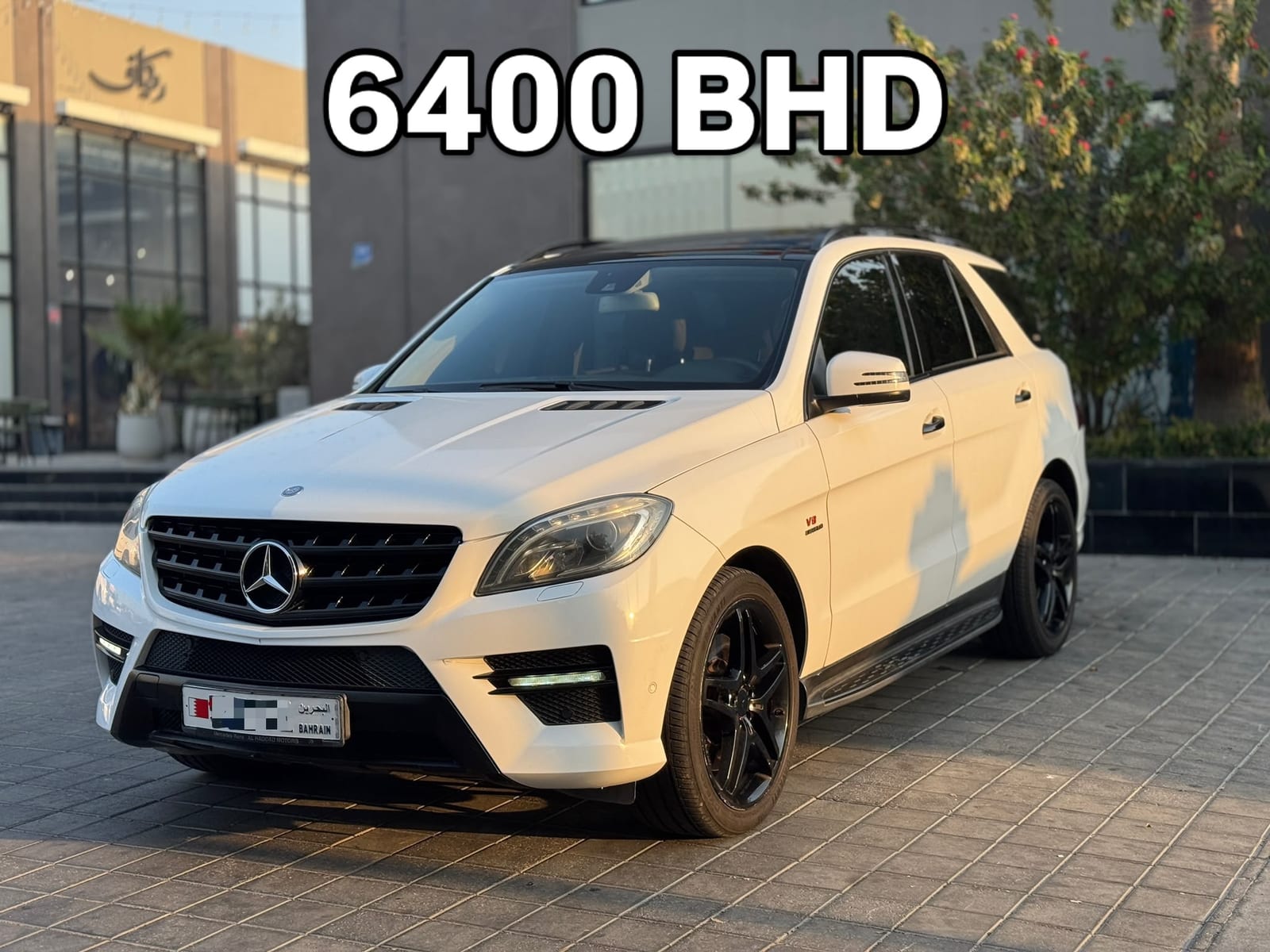 2013 Mercedes ML 500