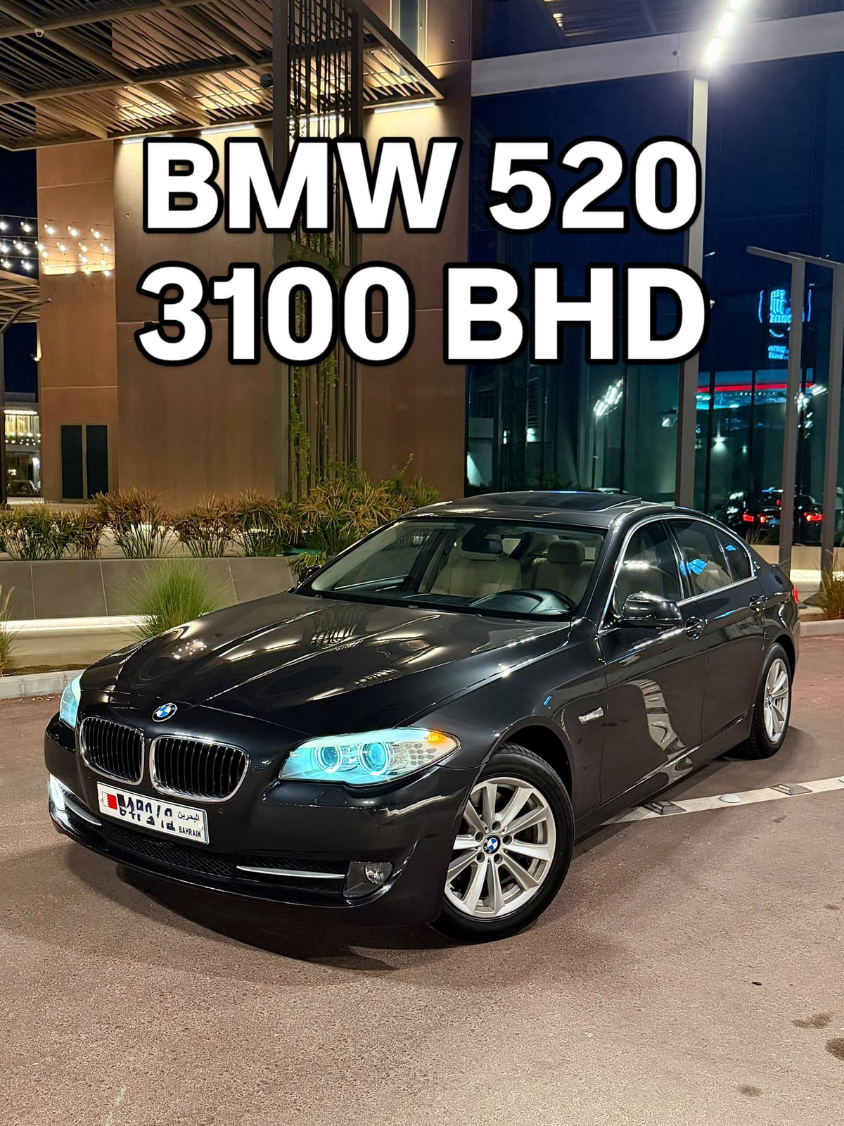 2013 BMW 520