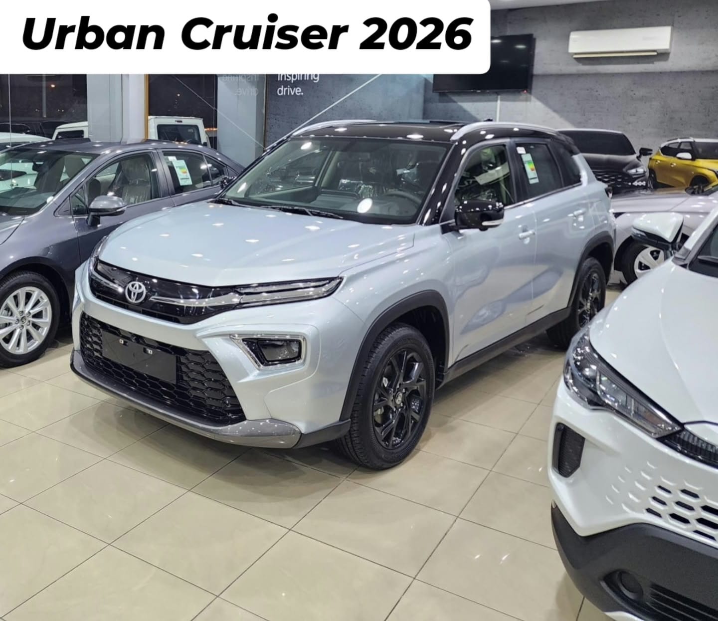 2026 Toyota Urban Cruiser