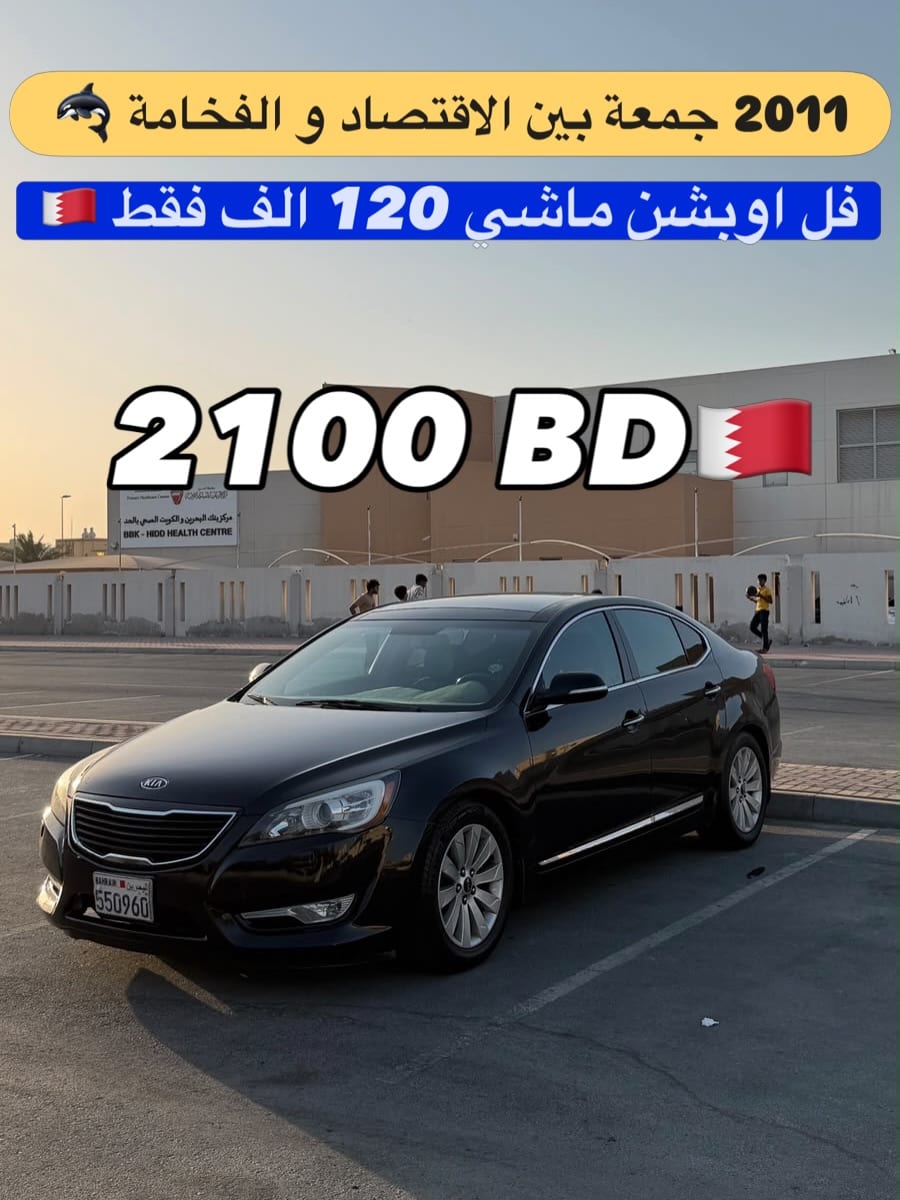 2011 Kia Cadenza