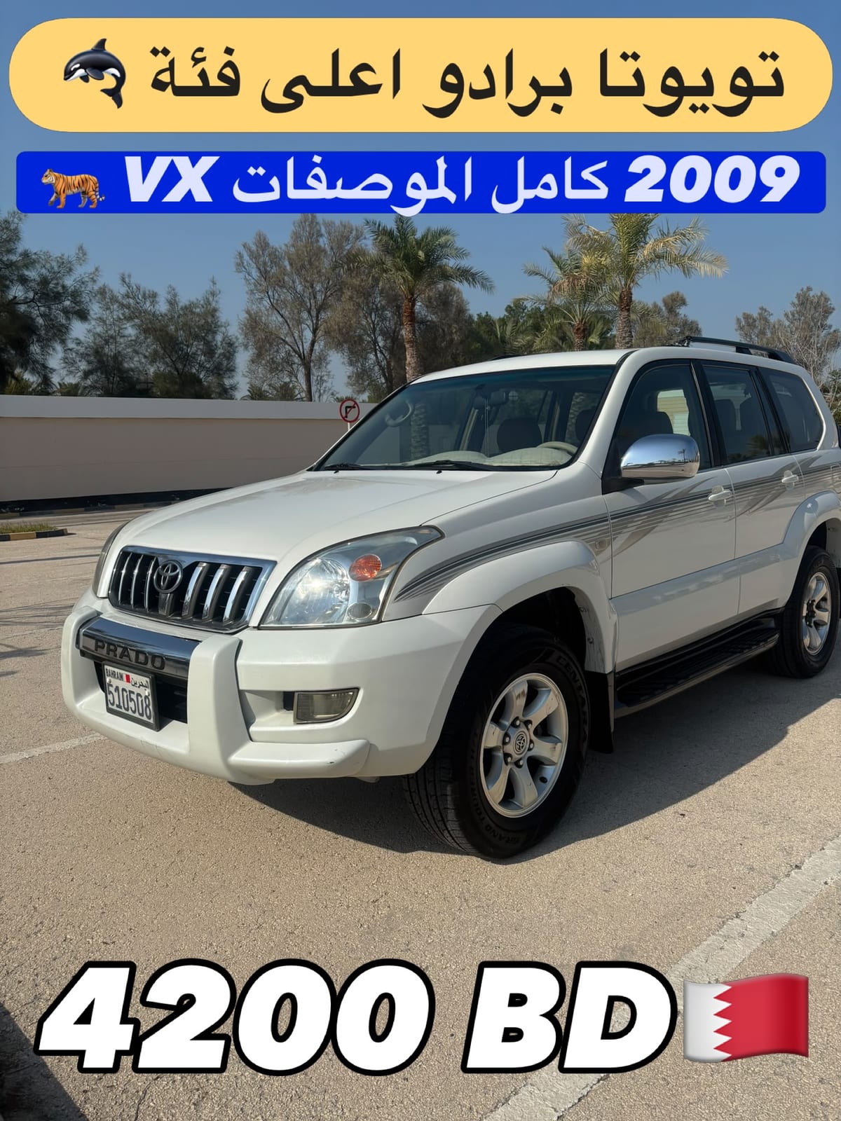 2009 Toyota Prado