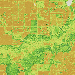 NDVI